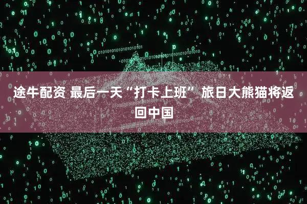 途牛配资 最后一天“打卡上班” 旅日大熊猫将返回中国