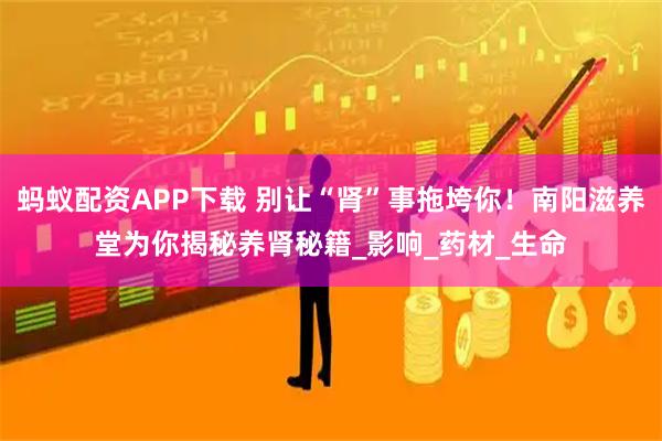 蚂蚁配资APP下载 别让“肾”事拖垮你！南阳滋养堂为你揭秘养肾秘籍_影响_药材_生命