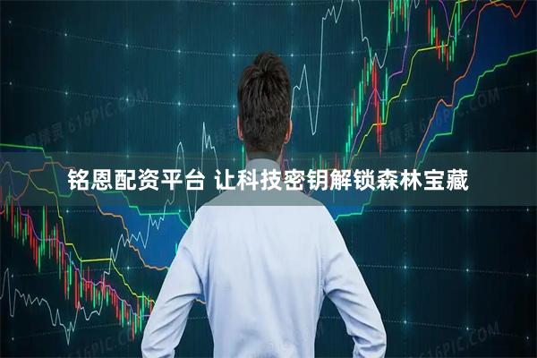 铭恩配资平台 让科技密钥解锁森林宝藏